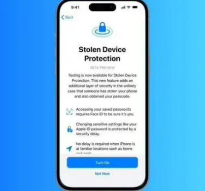 青铜峡苹果授权维修店分享被盗设备保护功能开启方法 