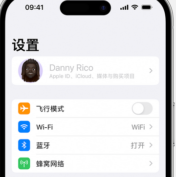 青铜峡appleID维修服务iPhone设置中Apple ID显示为灰色无法使用 