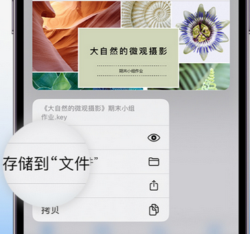 青铜峡apple维修中心分享iPhone文件应用中存储和找到下载文件