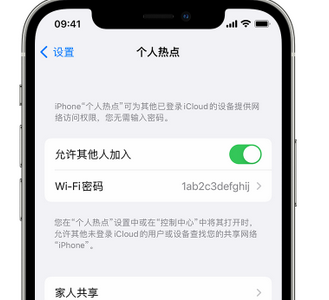 青铜峡apple服务站点分享iPhone上个人热点丢失了怎么办 