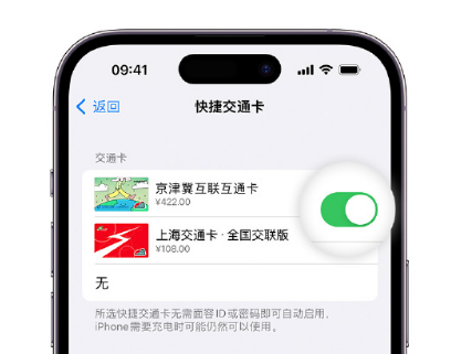 青铜峡apple维修点分享iPhone上更换Apple Pay快捷交通卡手绘卡面 