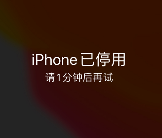 青铜峡苹果手机维修分享:iPhone 显示“不可用”或“已停用”怎么办？还能保留数据吗？ 