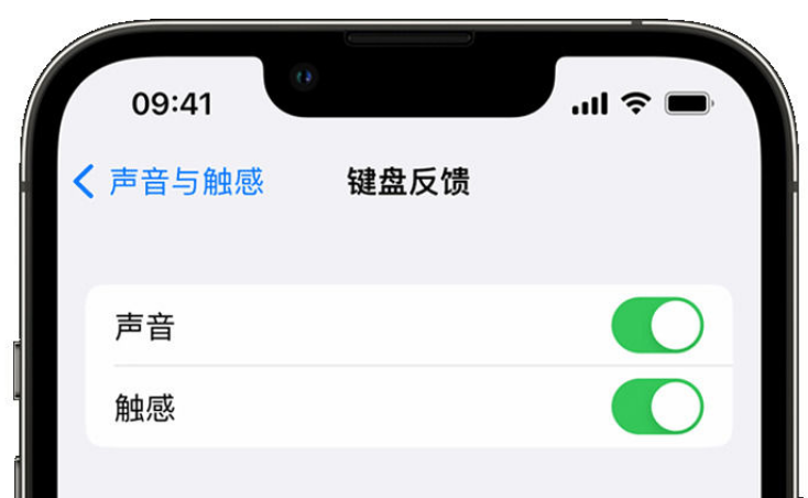 青铜峡苹果手机维修分享iPhone 14触感键盘使用方法 