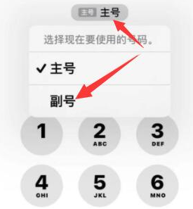 青铜峡苹果14维修店分享iPhone 14 Pro Max使用副卡打电话的方法 