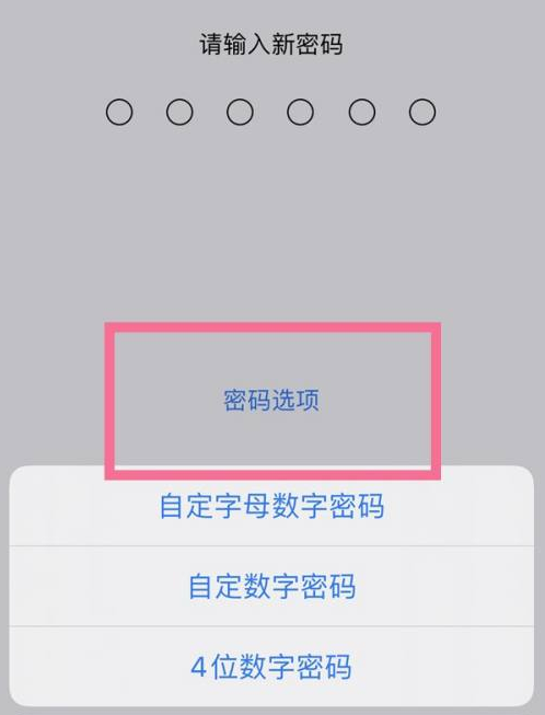 青铜峡苹果14维修分享iPhone 14plus设置密码的方法 