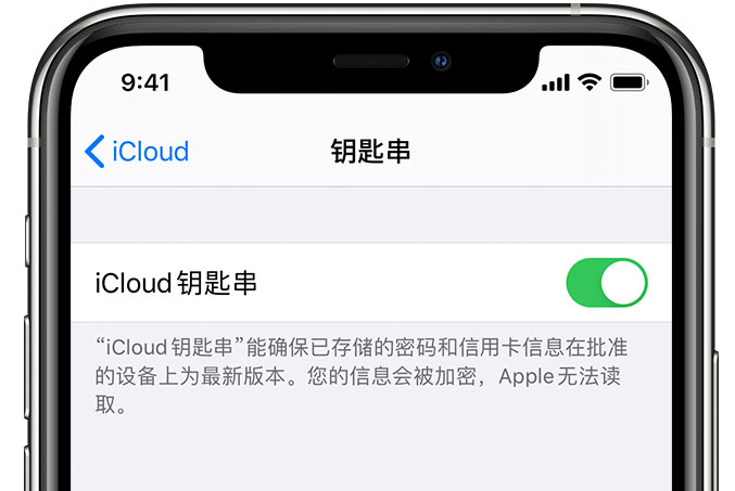 青铜峡苹果手机维修分享在 iPhone 上开启 iCloud 钥匙串之后会储存哪些信息 