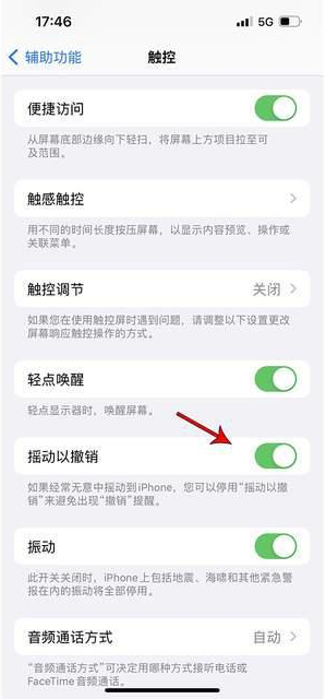 青铜峡苹果手机维修分享iPhone手机如何设置摇一摇删除文字 